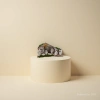 Sote Christmas scene Jesus Nativity model Christmas decorations Specification image